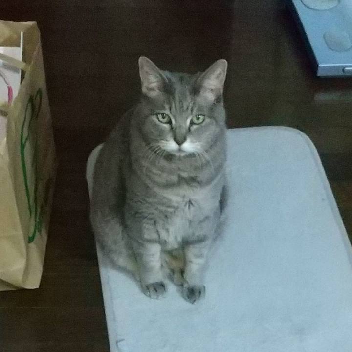 268dca63 b05b 4cdd 9d1c 7b80c2b2cf5b 1636625687588