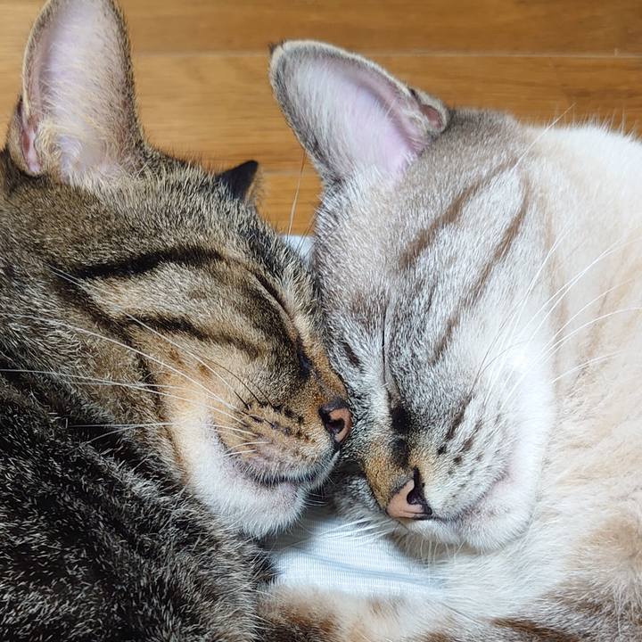 268de417 6722 4205 aa34 c88bd81a41b4 1693996021908