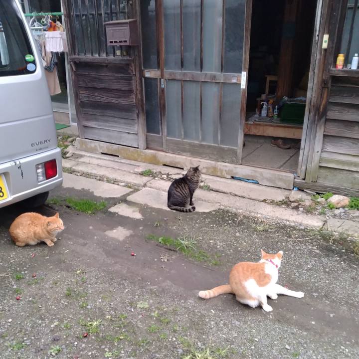 268df4e1 9d07 4b43 a651 44dbcb23f602 1760951798378