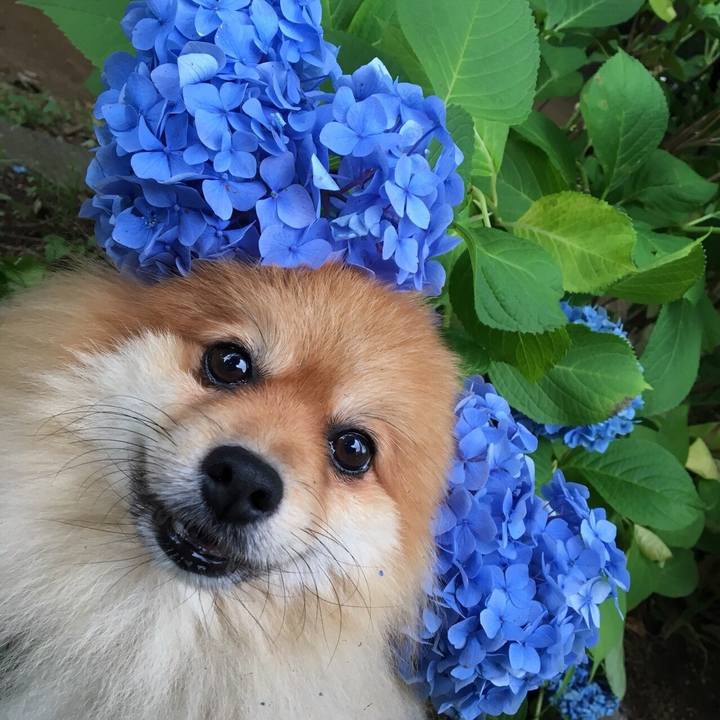 268df716 2ddb 4691 be60 4168c663a7f9 1546780732447