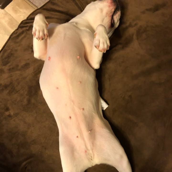 268e1a34 0306 44aa a338 53e8519390cc 1562334604665