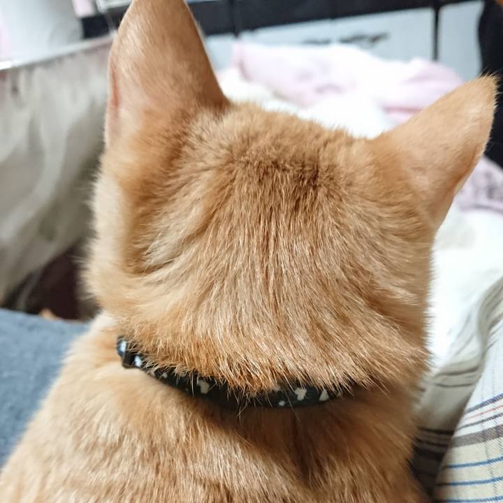 268e1e12 c138 472b 9f0c 99bdf6141ec2 1634810475493