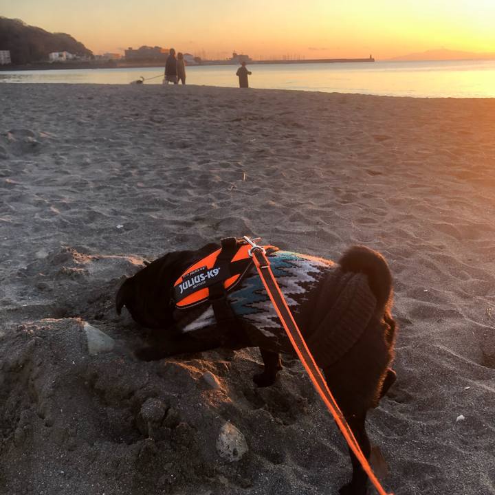 268e26c2 da86 4319 9547 ea1a818e8597 1609747586230