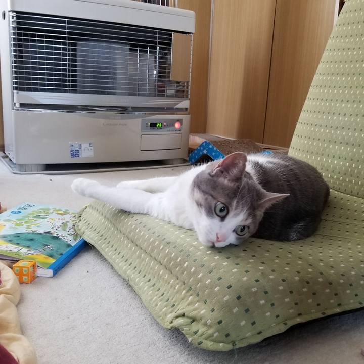 268e52f5 1b20 4460 9492 6313c7884abb 1587541180542