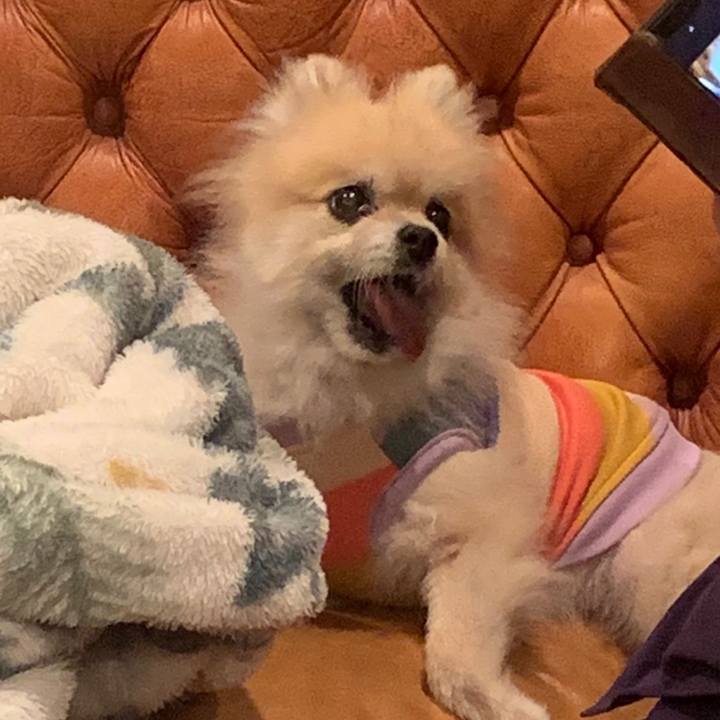 268e67c8 87d6 4eff 8ab9 564e24f39ab0 1669027221872