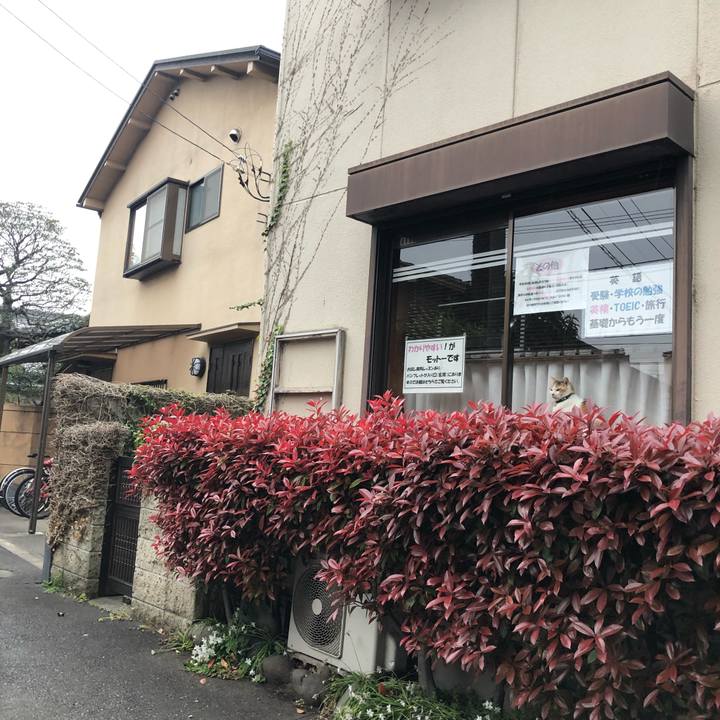 268e88e8 4d1a 4c96 935f abc75ab3e44e 1554929464926