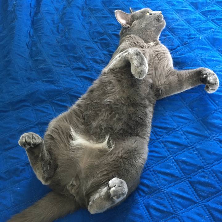 268e9801 2298 4819 bfb1 5493caffe7cc 1621826133377