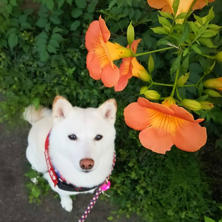 268ea315 9ee5 4c45 9131 478f317dade8 1626655835696