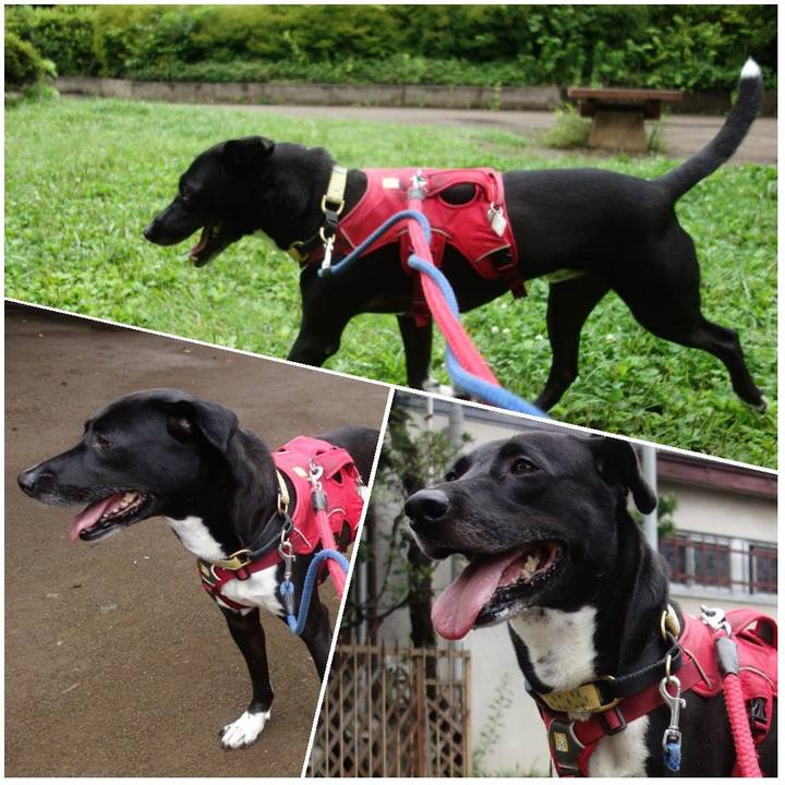 268eed26 94ff 402d ac13 1f419c4587fc 1625526415475