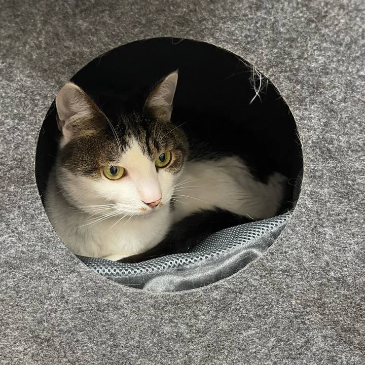 268f24dd 4f76 458e 9d46 701f67cea24c 1758624413922