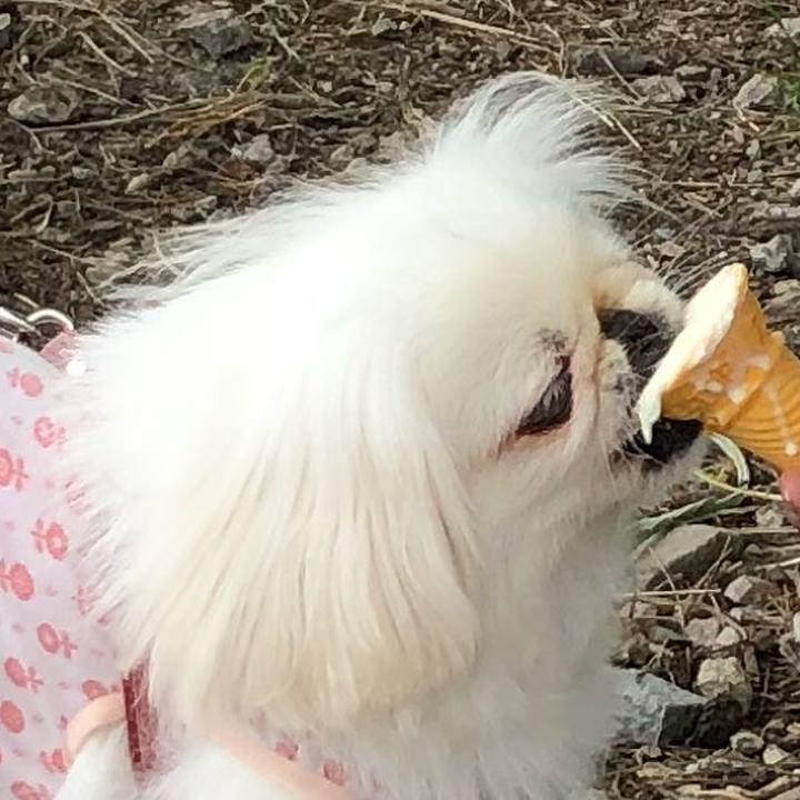 268f412a 9e61 4e2c b654 1e59a5b97ae5 1531706903613