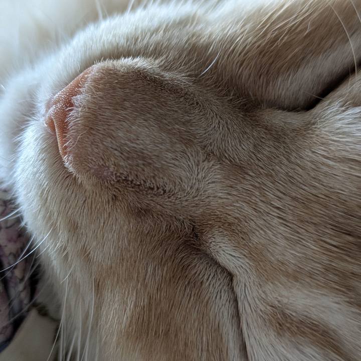 268f6571 6fb7 4a7f be57 6140763fadbc 1759971415124