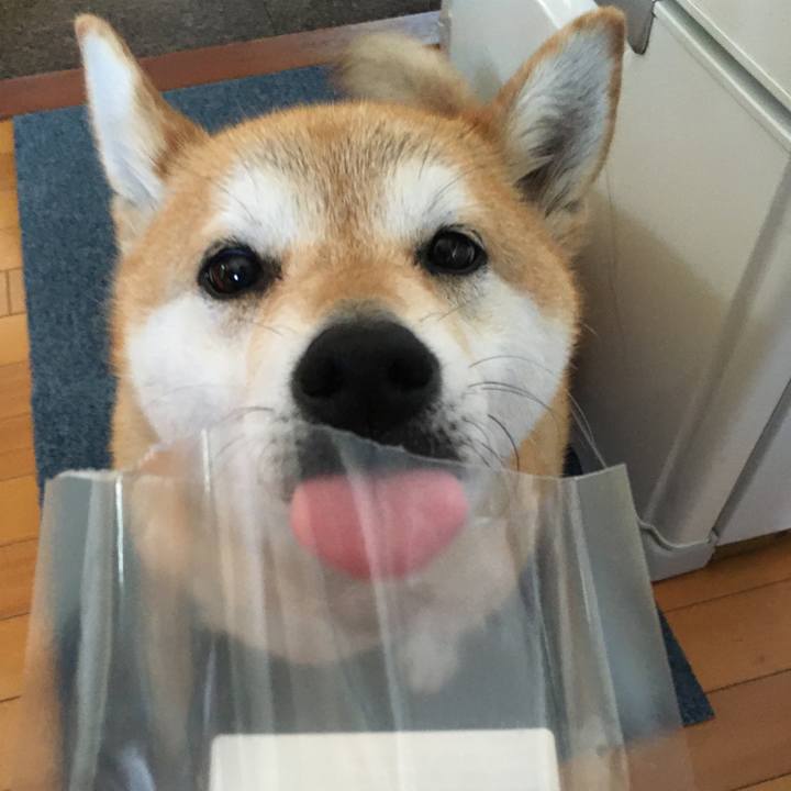 268f7727 e346 42f6 986a e52acf8c76ff 1620686923430