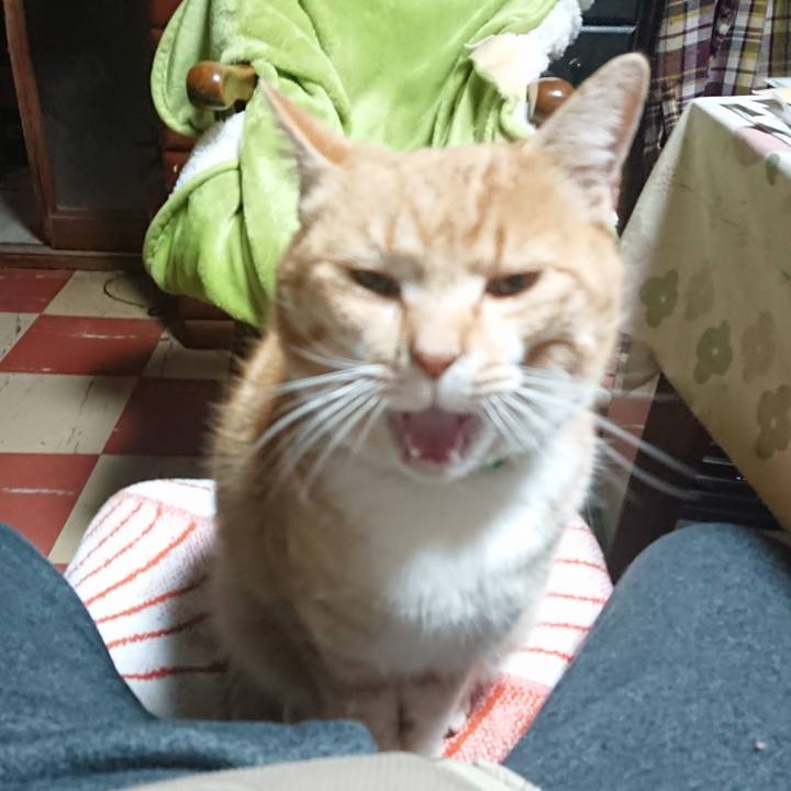 268fbf8d af33 4d88 8032 e6b98685f7ae 1584043032572