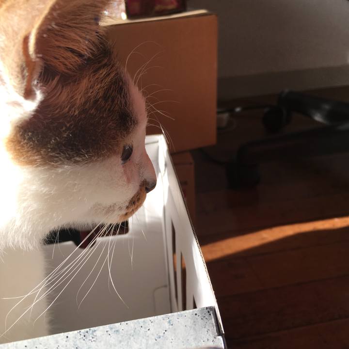 268fd414 354a 4201 8db9 dd4ba9fc0ef8 1511489566322