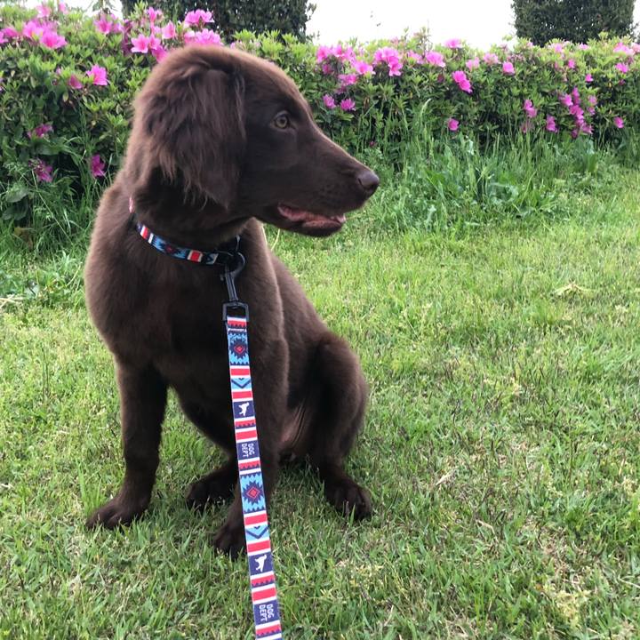 268fee84 7d51 4147 8a37 4278f6891a15 1557006330544