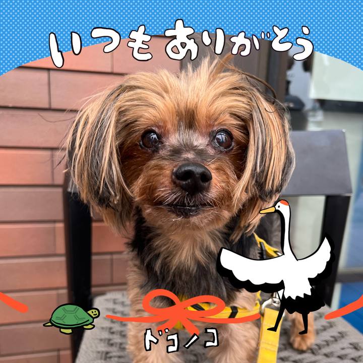 268ffdcb bc50 4ca4 abc8 81a326db3f8e 1726827793329