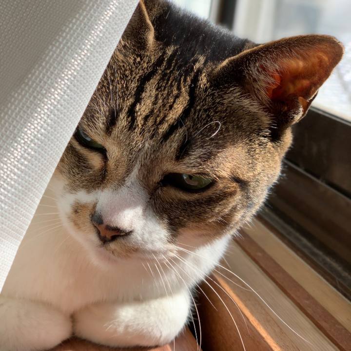 26900d31 e71b 45ea 8059 b39057c21cd7 1550971130383