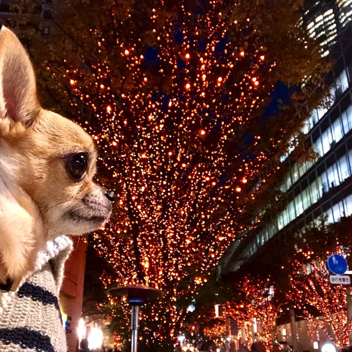 269027f3 a12d 486e b37c ebf315b0b6fc 1510975801762