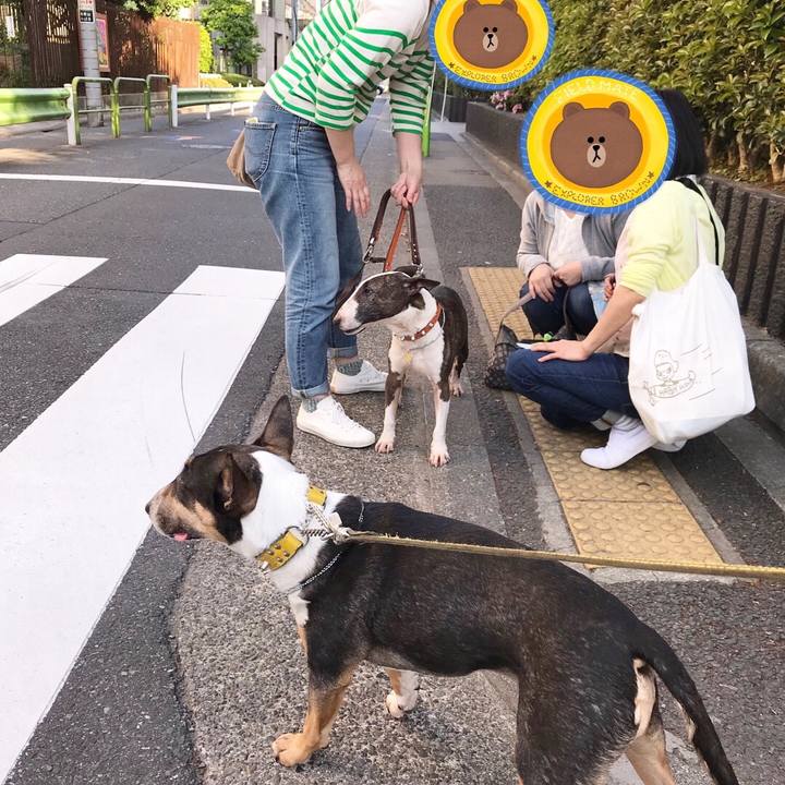 26903a1b 6555 4d3d b50a f4a3bc373722 1524320095198