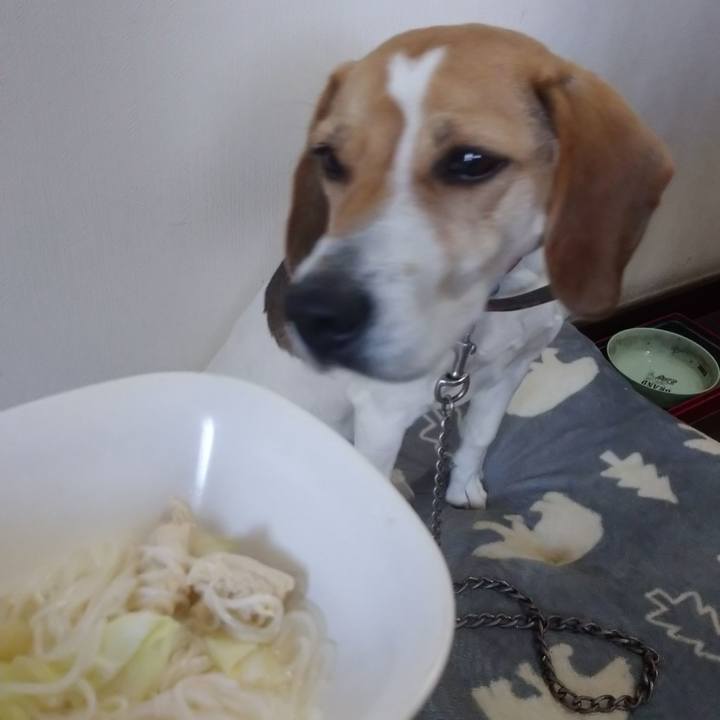 2690552b 5a2c 457b b018 f3fdd6d79490 1611911707702