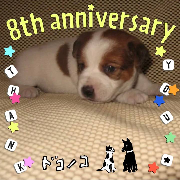 26906c82 3377 46ef 8b16 2eab605a8349 1717891380831