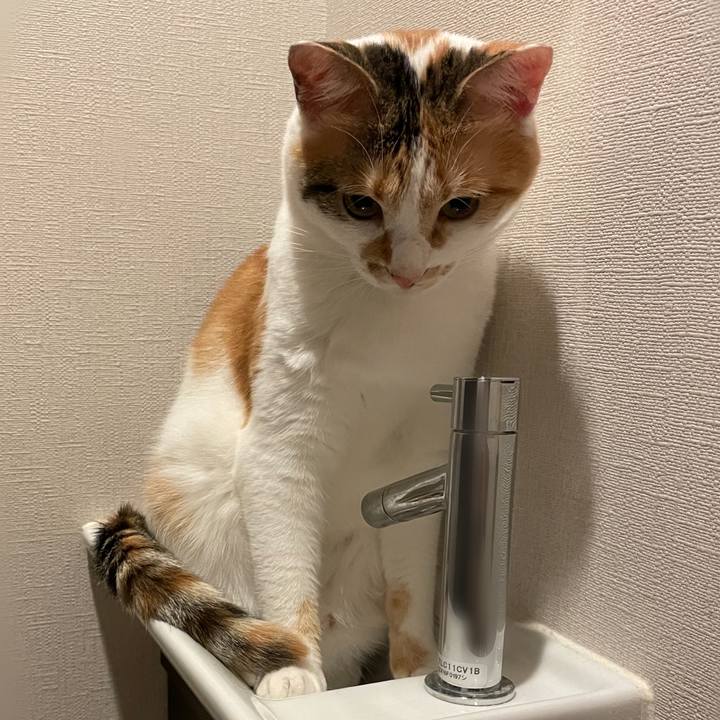 2690a13e 3081 4e6f be85 a44283ee22dd 1625012269018