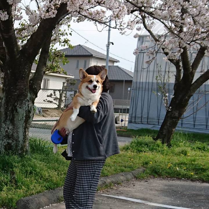 2690dbf5 8d3c 4921 b397 a8f9bbbf8a56 1585981077298