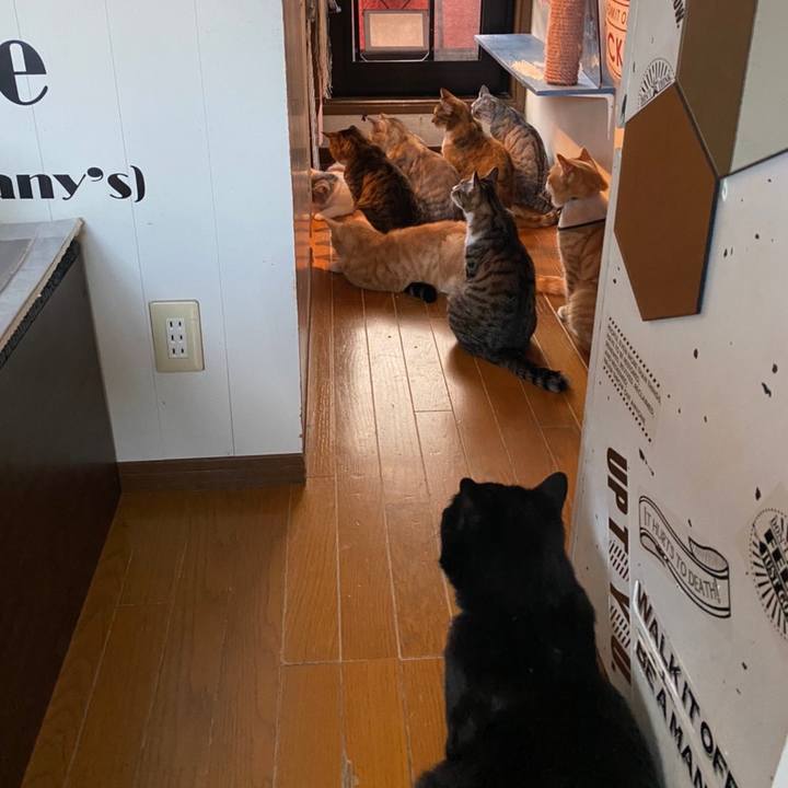 2690fe41 7dc9 44fb a349 0853b9a110d4 1628741335365