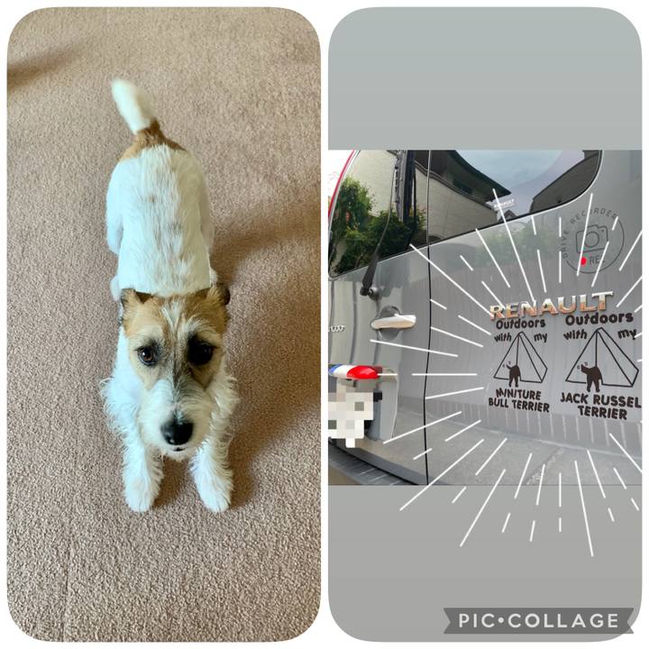 269101d0 ca58 40e4 8f5b b316a9c3222c 1624677781870