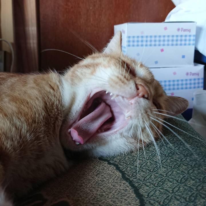 26912fb8 d04d 4703 83fc d315e6008baf 1566115344954