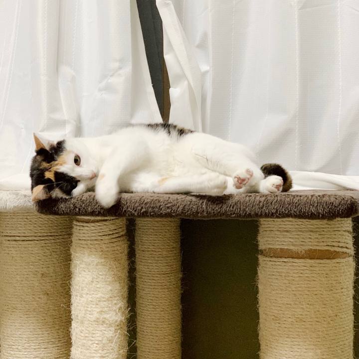 26913d86 e99b 4b20 9b14 81aefc47f80d 1550626549708