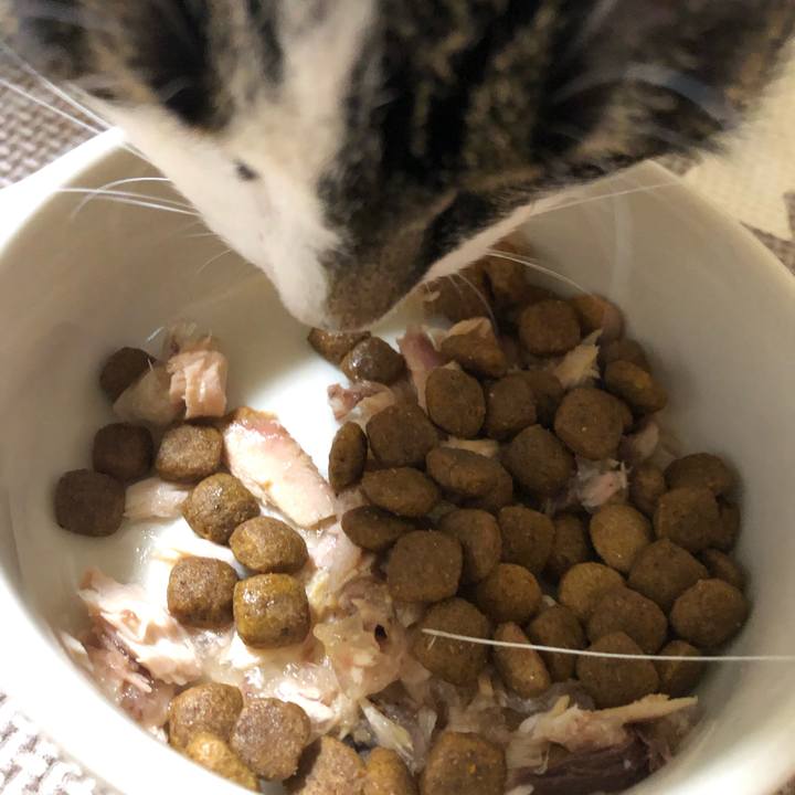 26915804 bdb5 4c2c b9a7 893b6a82278e 1566131245726