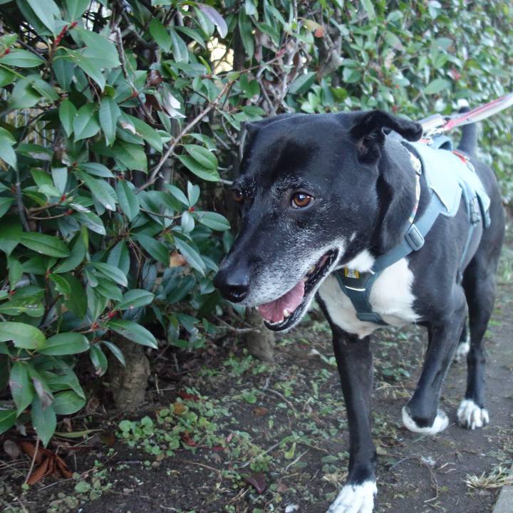 26915c5e 2243 43f2 aa9d f3914adf738d 1733791849752