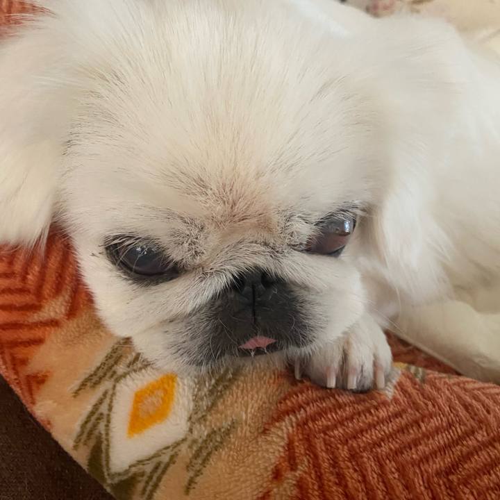 2691947a cc77 41d4 94b7 720efdea8c74 1636782525615