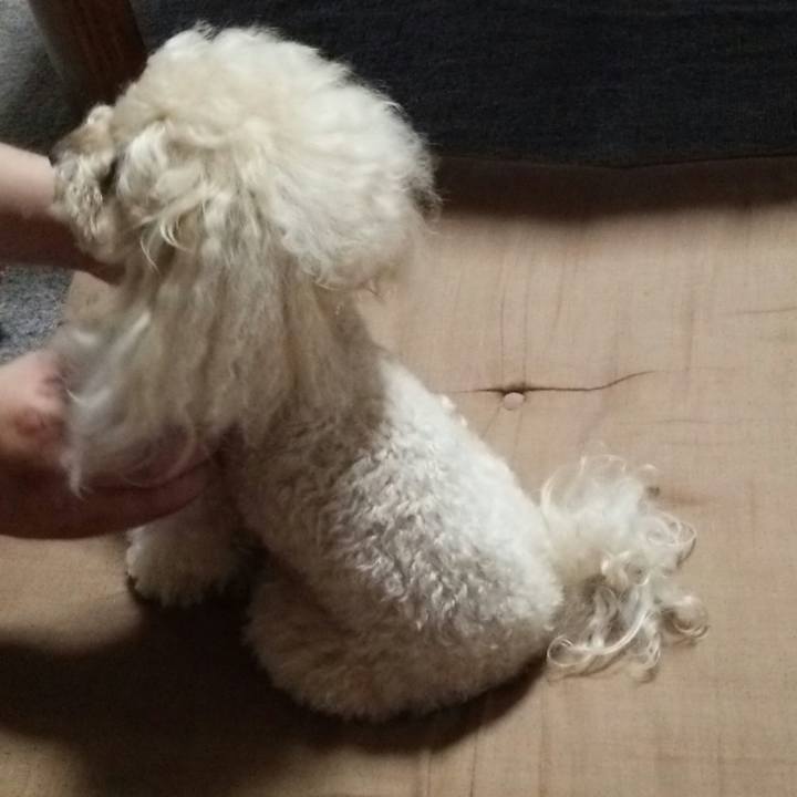 2691a8d0 a724 47b9 9790 f4252f52b241 1530619176424