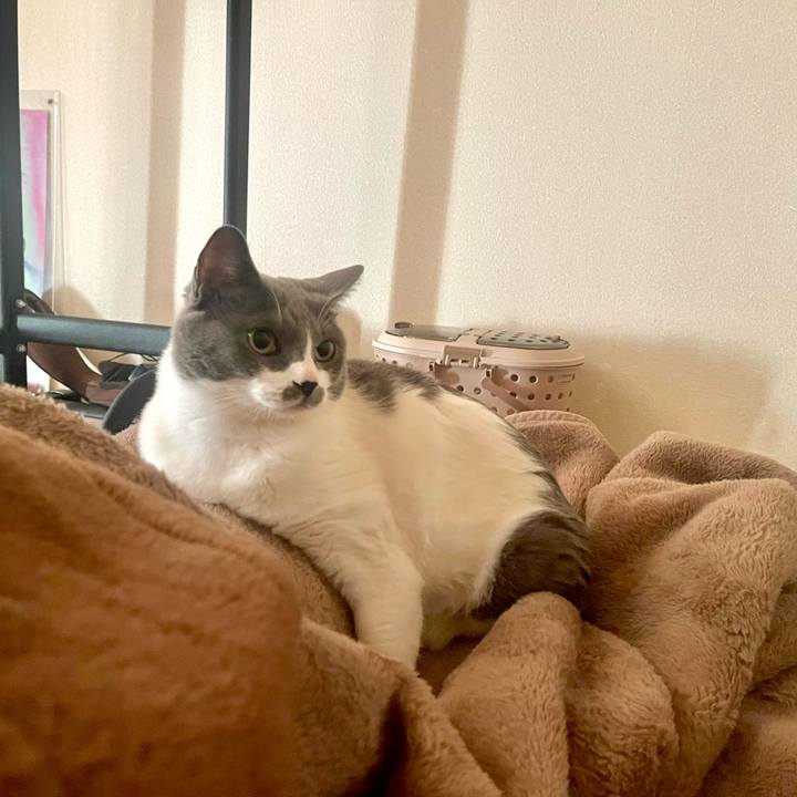 2691bced 72a5 4307 abf0 d73a83f63f90 1671927970928