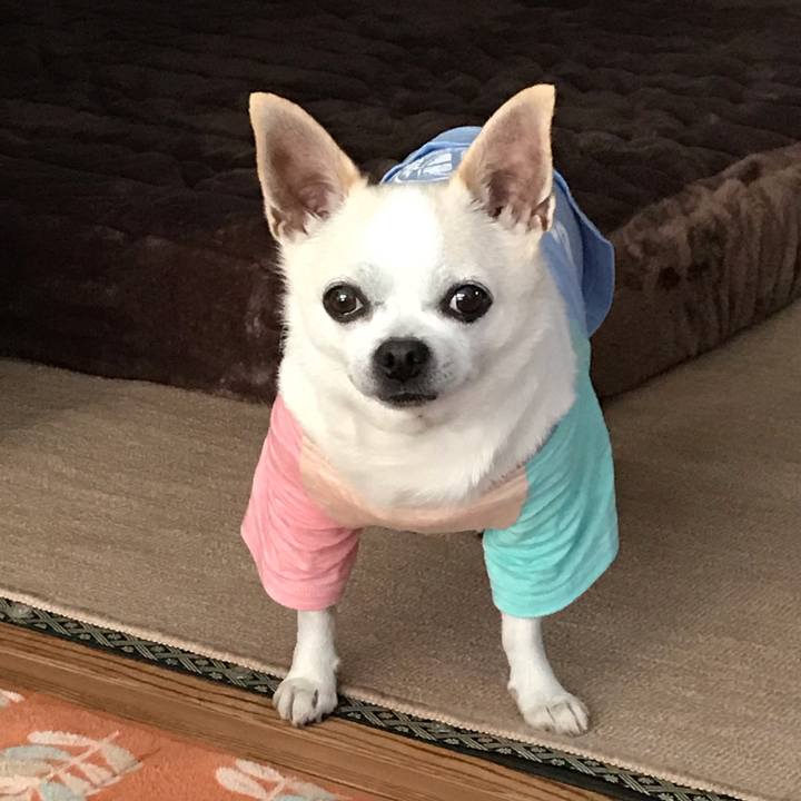 2691c9a7 d787 4fcb be3b 596522e12932 1560691281505