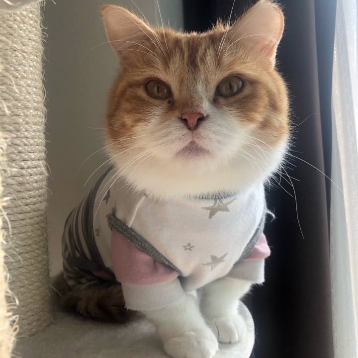 269232cc 415d 4d7e aa3d 846fbb7b63c5 1553994651966