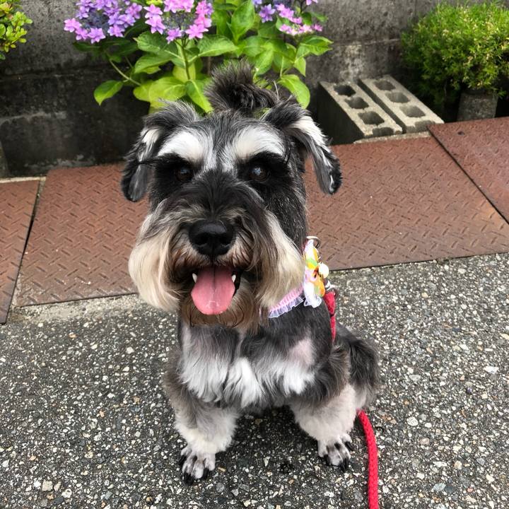 2692486e 04d8 4c0e ba54 6adae217a6bb 1560504695399