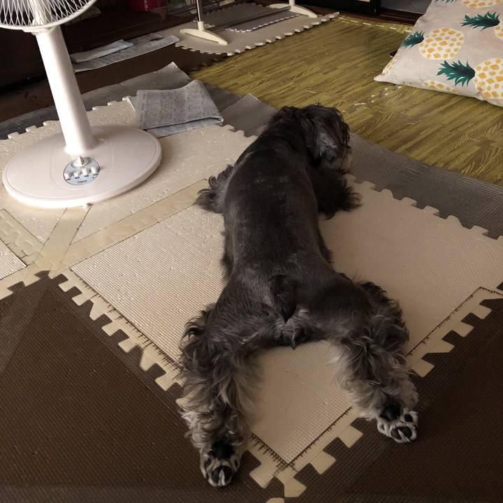 26926476 53ce 4e6d ba26 e8257a13f304 1535863629905