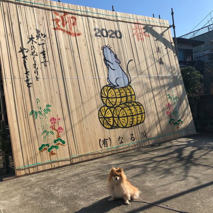 269265bd 0e6f 47f7 a2fe c198c660ce40 1578059554713