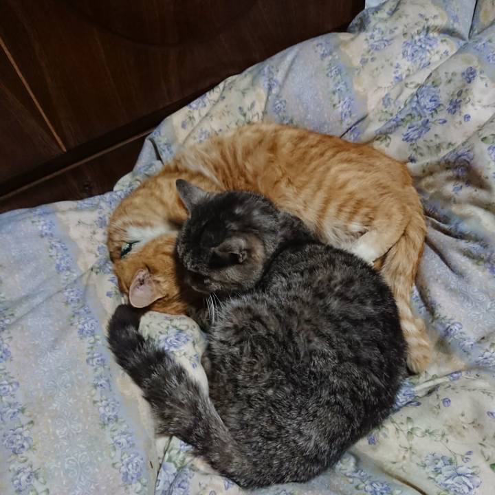 2692680b 3c66 4331 ba64 fb23a2479342 1582720441197