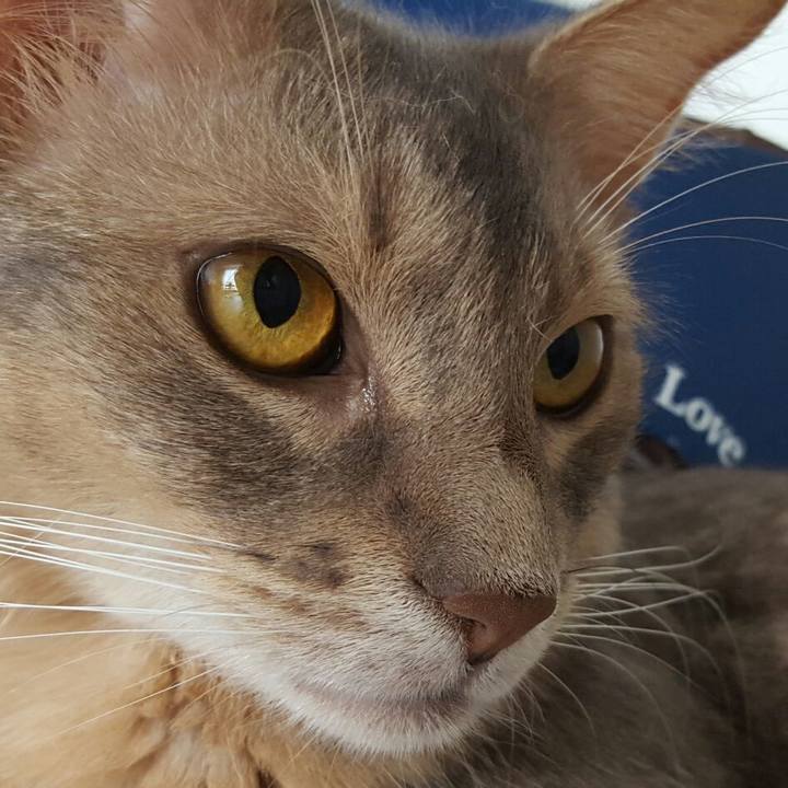 26926b0c 53b3 4060 83e5 93e3b2e69558 1533954633027