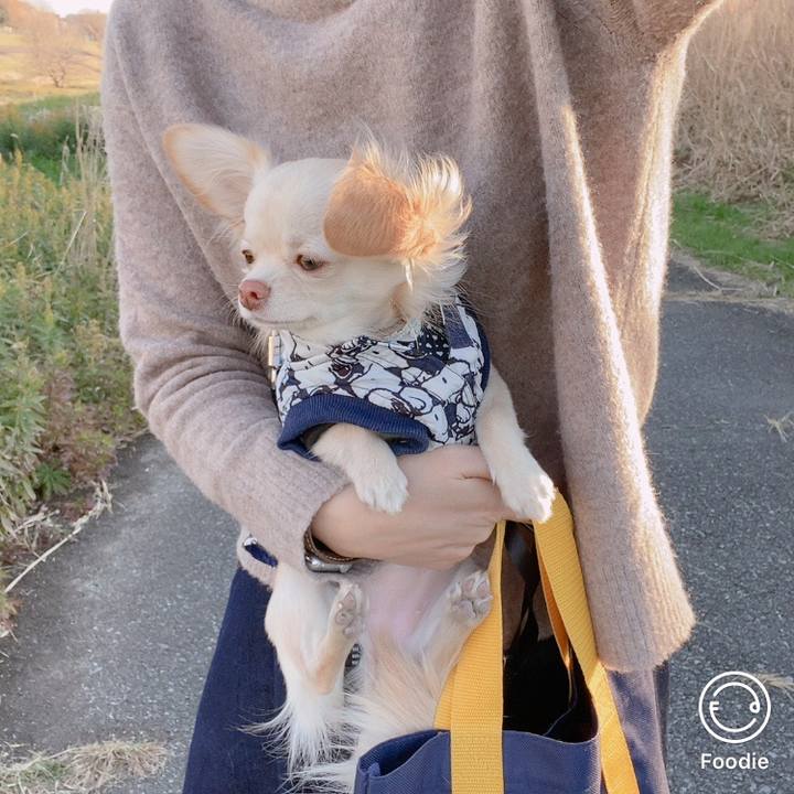 26928ded a5d4 4060 afda 364d36388ace 1608622514715