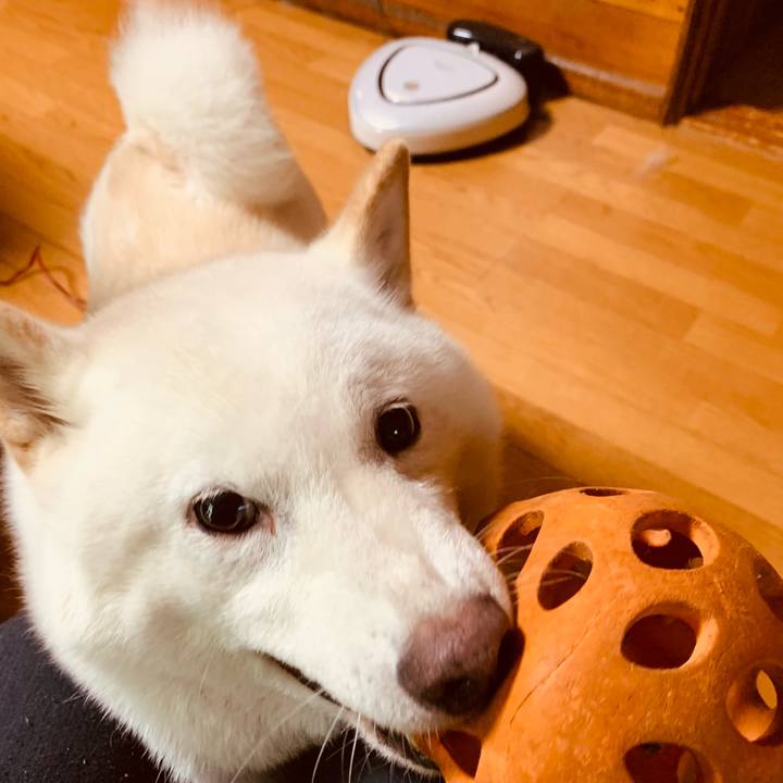 26928df3 c74f 44f0 ac9e 8c04611936b3 1629876819195