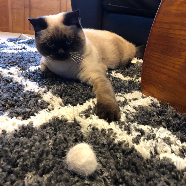 26928fdc 4f11 4861 a48b a9aac051b0fb 1604450299959