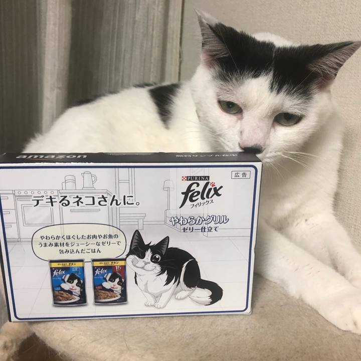 2692cf08 3b52 4cc5 9c89 0370ee3b6ff2 1569844652938