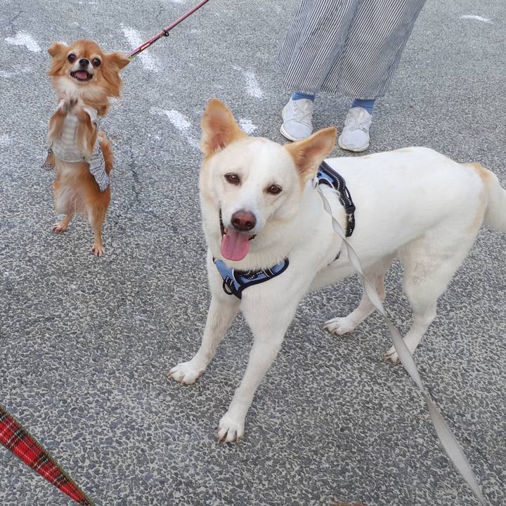 2692eb94 0827 4289 963b 7b5c8abae8c1 1664670176832