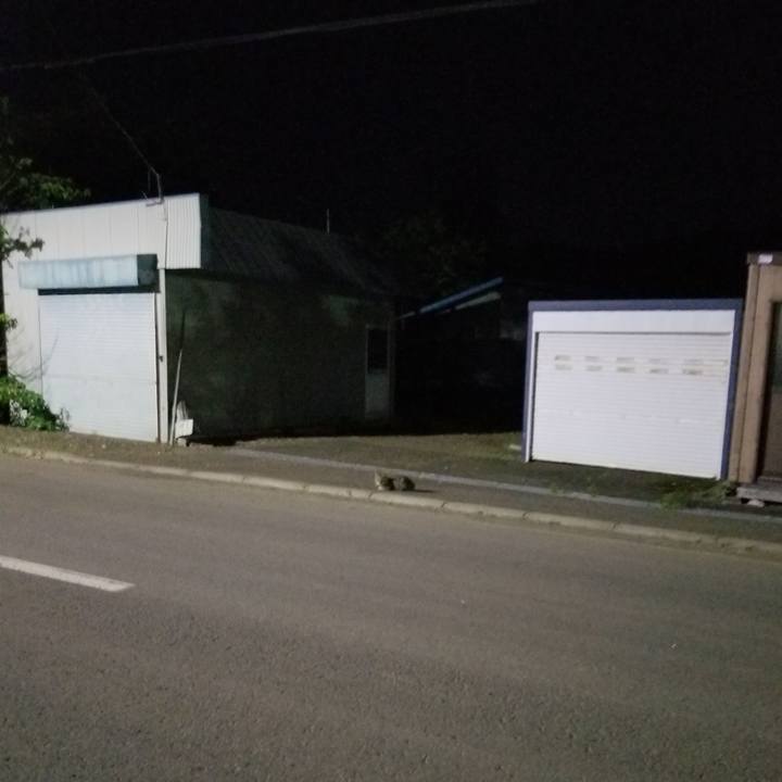 2692ed2f fc53 409c 9c81 f89aee97439c 1624455332450